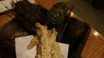 IMG_20151011_203015