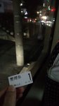 IMG_20151013_193456_HHT