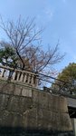 IMG_20170330_124930