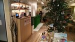 IMG_20170330_125528