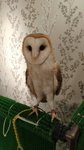 IMG_20170330_130218