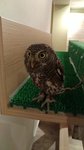 IMG_20170330_130420