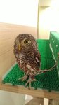IMG_20170330_130425_HHT