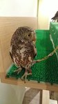IMG_20170330_130508
