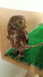 IMG_20170330_130512_HHT