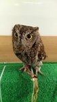 IMG_20170330_130530