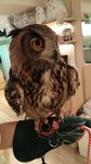 IMG_20170330_131255