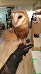 IMG_20170330_131738