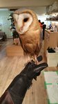 IMG_20170330_131740