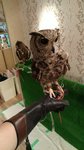 IMG_20170330_132610