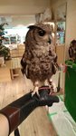 IMG_20170330_132632
