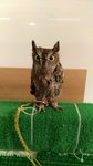 IMG_20170330_132816