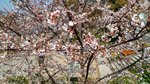 IMG_20170404_133308_HDR