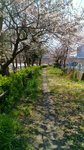 IMG_20170404_134011_HDR