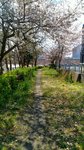 IMG_20170404_134016_HDR
