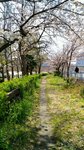 IMG_20170404_134028_HDR