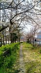 IMG_20170404_134031_HDR