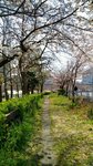 IMG_20170404_134033_HDR
