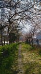 IMG_20170404_134036_STEREO