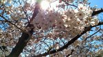 IMG_20170404_134717_HDR