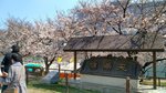 IMG_20170404_135044_HDR