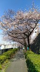 IMG_20170404_140239_HDR