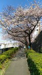 IMG_20170404_140240_HDR