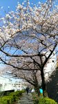 IMG_20170404_140246_HDR
