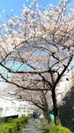 IMG_20170404_140247_HDR