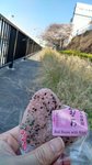 IMG_20170404_141845_HDR