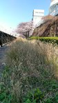 IMG_20170404_142336_HDR