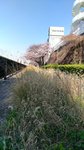 IMG_20170404_142338_HDR