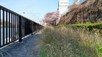 IMG_20170404_142341_HDR