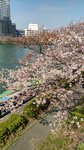 IMG_20170404_144208_HDR