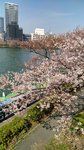 IMG_20170404_144210_HDR
