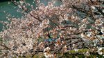 IMG_20170404_144218_HDR