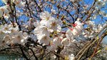 IMG_20170404_144229_HDR