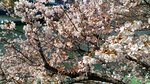 IMG_20170404_144428_HDR