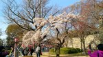 IMG_20170404_163125_HDR