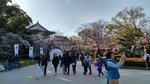 IMG_20170404_163132_HDR