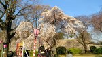 IMG_20170404_163144_HDR