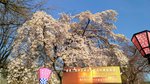 IMG_20170404_163154_HDR