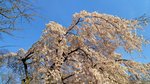 IMG_20170404_163233_HDR