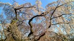 IMG_20170404_163240_HDR