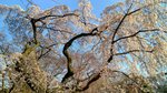 IMG_20170404_163243_HDR