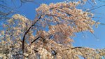 IMG_20170404_163432_HDR