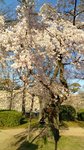 IMG_20170404_163446_HDR