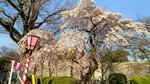 IMG_20170404_163458_HDR