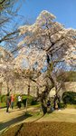 IMG_20170404_163536_HDR