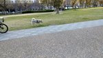 IMG_20170404_164608_HDR